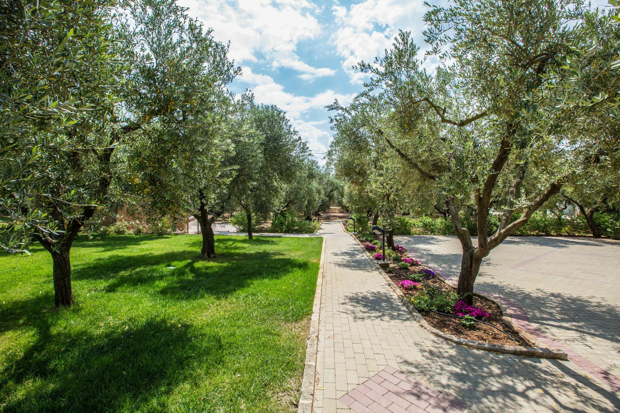 Dimora Tenuta Solentino Торе Сан Джовани Удженто Екстериор снимка